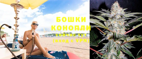 бошки Заводоуковск